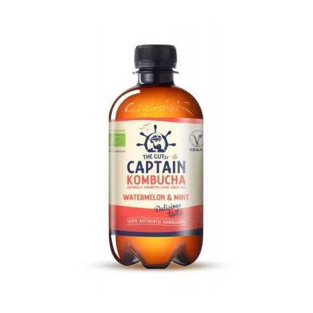 Captain Bio Kombucha Ital G.Dinnye-Menta 400 ml