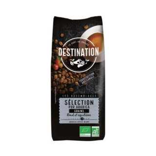 Destination 1000 selection prémium szemes bio kávé 100% arabica 1000 g