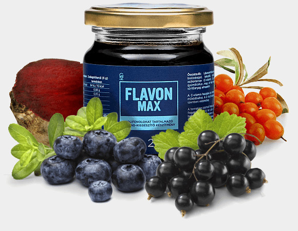 FLAVON MAX (Flavonmax) 240g