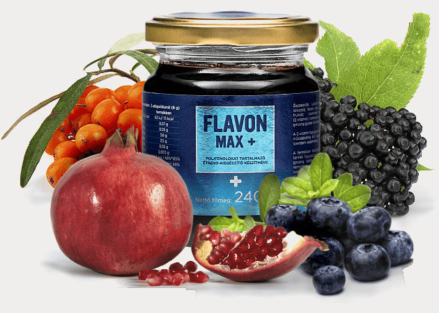 FLAVON MAX + Plusz (Flavonmax) 240g