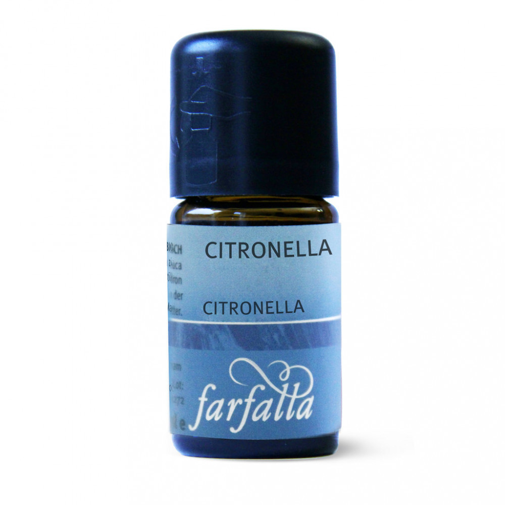 Farfalla Citronella