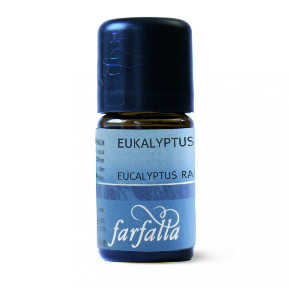 Farfalla Eukalyptus radiata