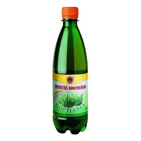 Kombucha tea koncentrátum búzafű 500 ml