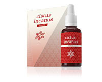 Energy Cistus Incanus koncentrátum 30ml