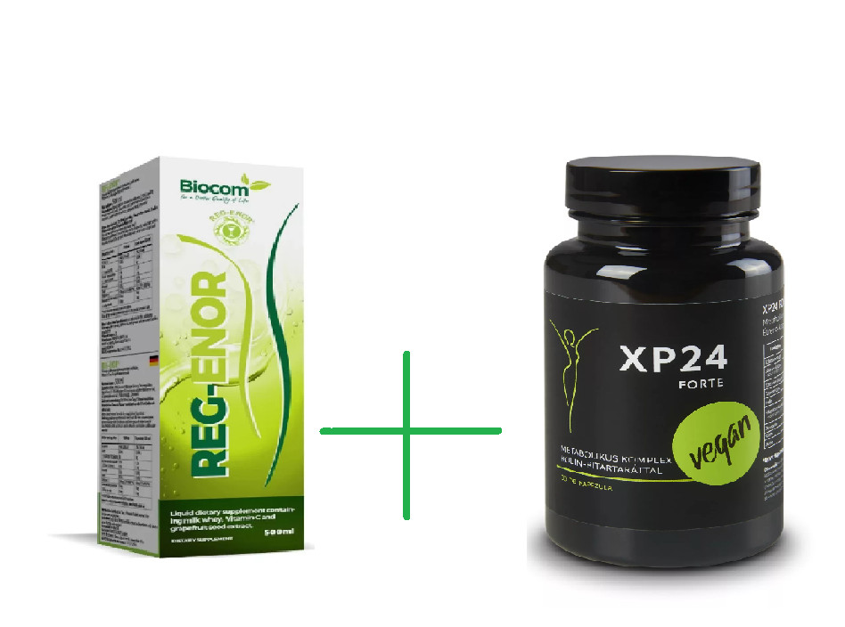 XP 24 Forte